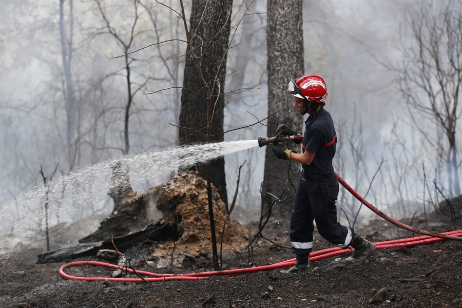 Cháy rừng ở miền Nam nước Pháp đe dọa cuộc sống người dân